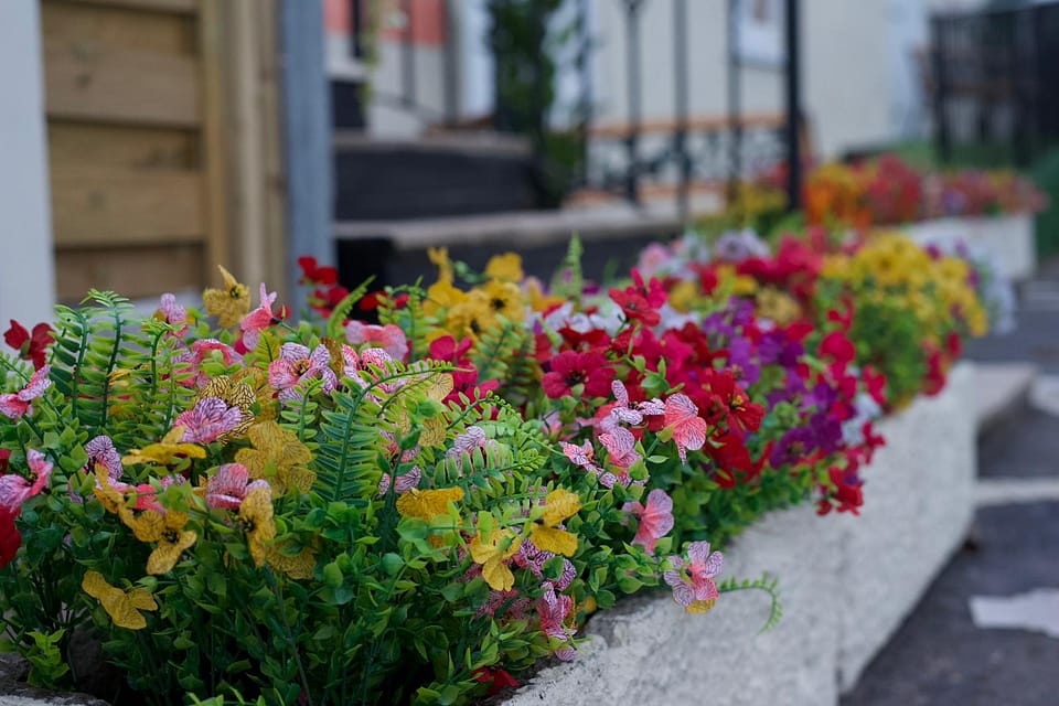 WhatsApp Image 2026-01-22 at 6.51.58 PM